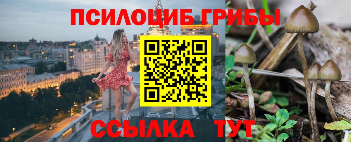 Псилоцибиновые грибы Magic Shrooms Тольятти