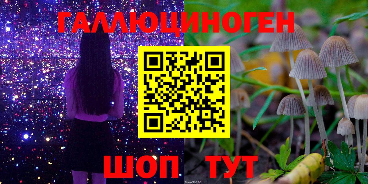 Псилоцибиновые грибы ЛСД  Вход с VPN  купить наркотики цена  Тольятти  Галлюциногенные грибы Magic Shrooms 